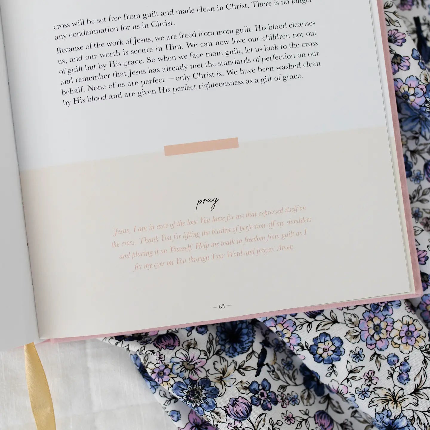 Steadfast Motherhood: 60 Days of Abiding