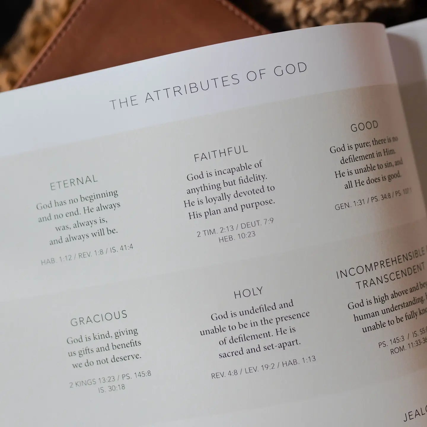 Esther: Seeing God When He Is Silent