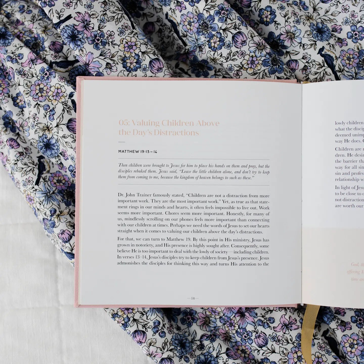 Steadfast Motherhood: 60 Days of Abiding