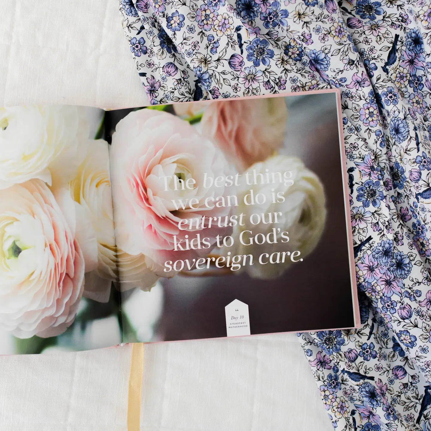 Steadfast Motherhood: 60 Days of Abiding