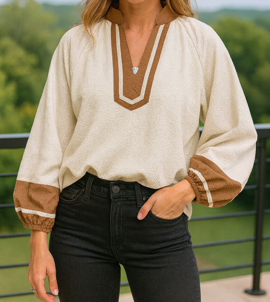 Pre-order Colorblock V Neck Blouse FB