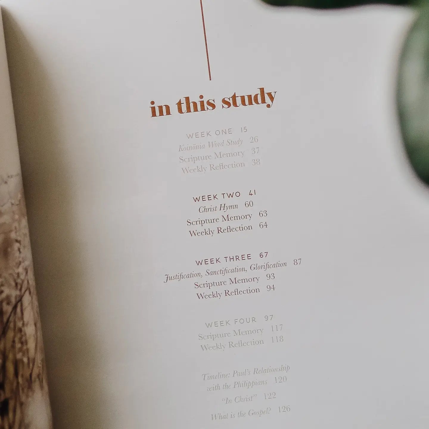 Fighting With Faith-Philippians Study