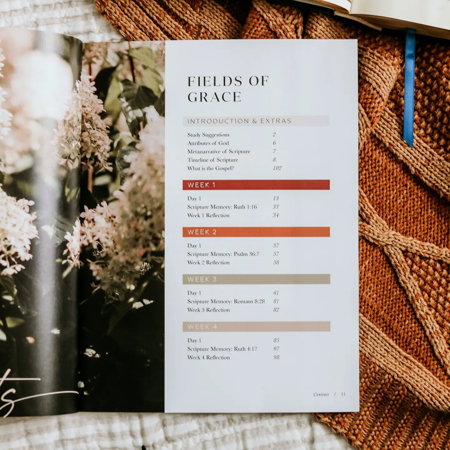 Ruth Study: Fields of Grace